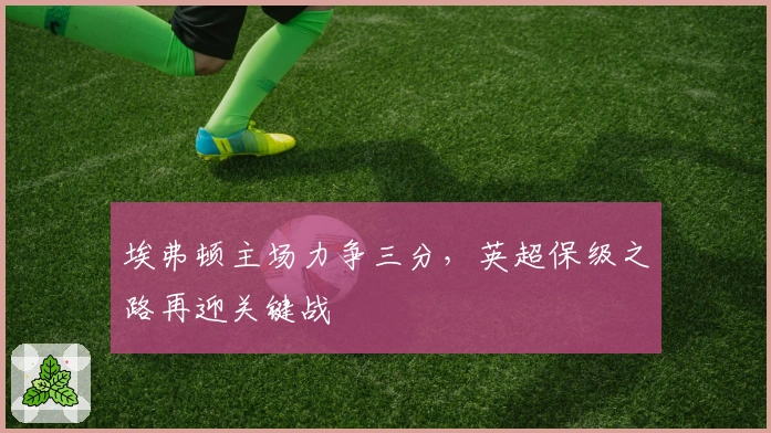 埃弗顿主场力争三分，英超保级之路再迎关键战