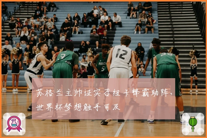 苏格兰主帅证实召纽卡锋霸助阵，世界杯梦想触手可及