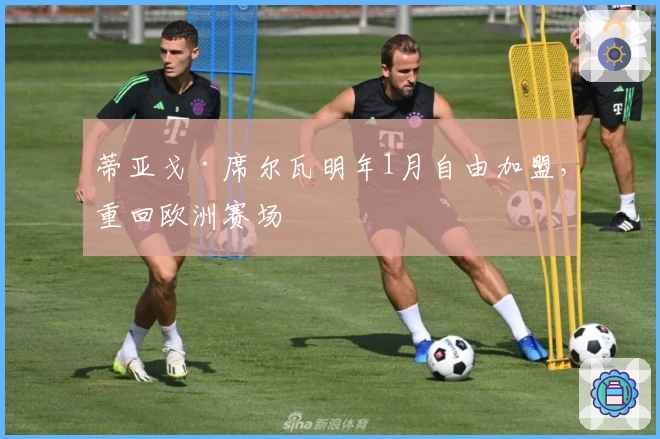 蒂亚戈·席尔瓦明年1月自由加盟，重回欧洲赛场